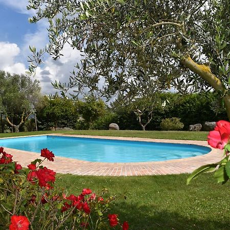 La Cavetta Country House Trevignano Romano Exterior photo