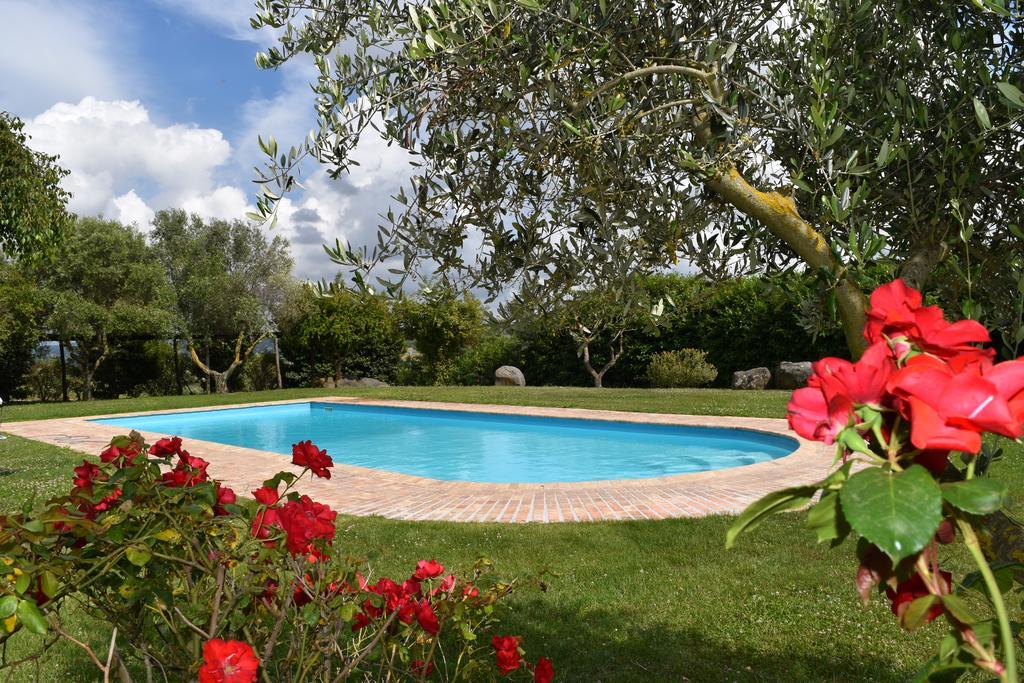 La Cavetta Country House Trevignano Romano Exterior photo